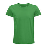 Verde Grass